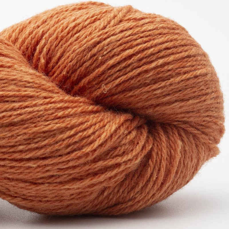BC Garn Bio Balance (GOTS) - BONIFAKTUR - 17 Orange - BC Garn BC Garn Bio Balance (GOTS) 17 Orange
