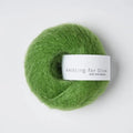 Clover Green